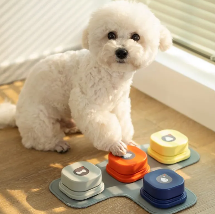 Pet Essentials